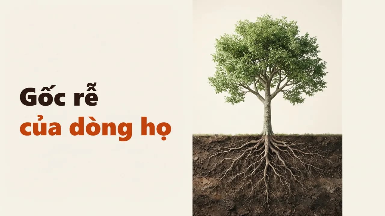 Gia phả dòng họ: khái niệm, cấu trúc và cách xây dựng